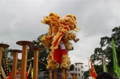 双狮梅花桩