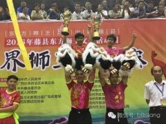 2016世界狮王争霸赛完美谢幕，藤县禤州A/B两队夺
